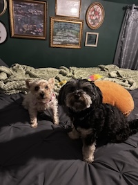Ruby and Ginny together